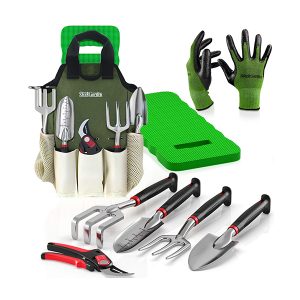 sed quia non num quam eius modi tem inci ist ipsa