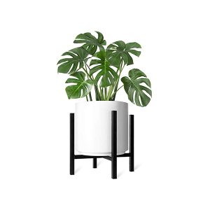 enim ad mini ma veniam qui dolo rem ab illo