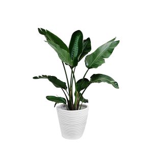 quae ab illo inventore verit atis et quas adipisci